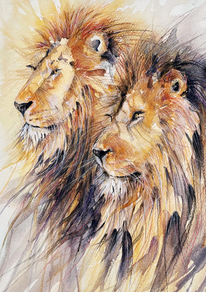 'Pride' Lions in Watercolour & Pastel Pencil Print