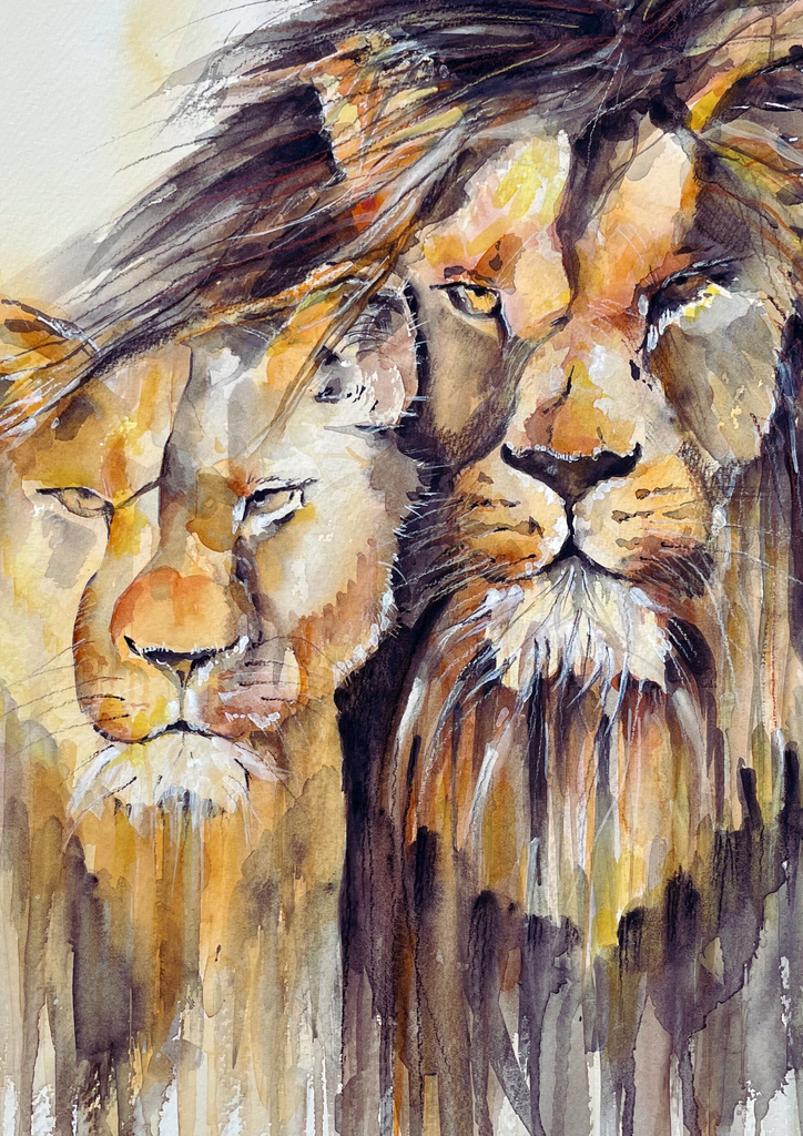 'On the Look-out' two Lions in Watercolour Print
