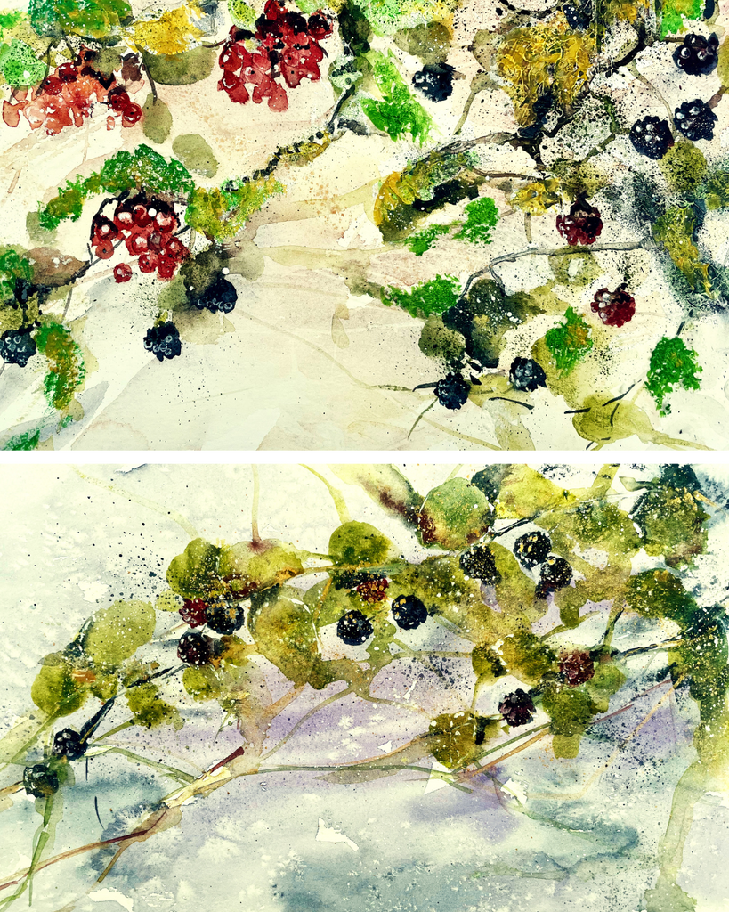 SEPT - Sat 30th 2023 - Watercolour & Gouache Workshop, Gullane - Brambles & Blackberries